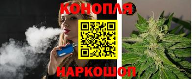гидропоника Пугачёв