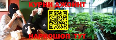 гидропоника Пугачёв