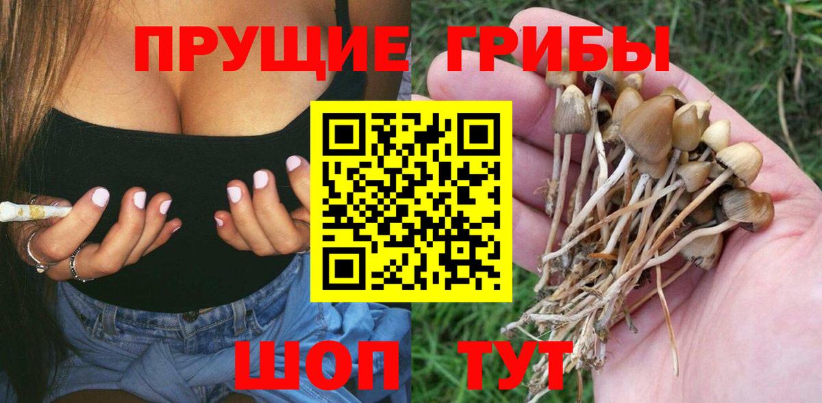 Галлюциногенные грибы Cubensis  Вход с VPN  даркнет сайт  Свободный 